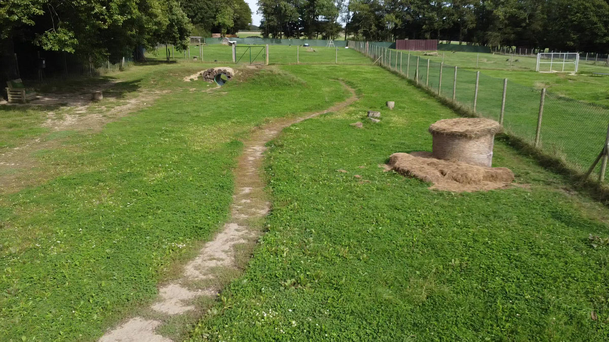 The secure exercise fields at Club K9